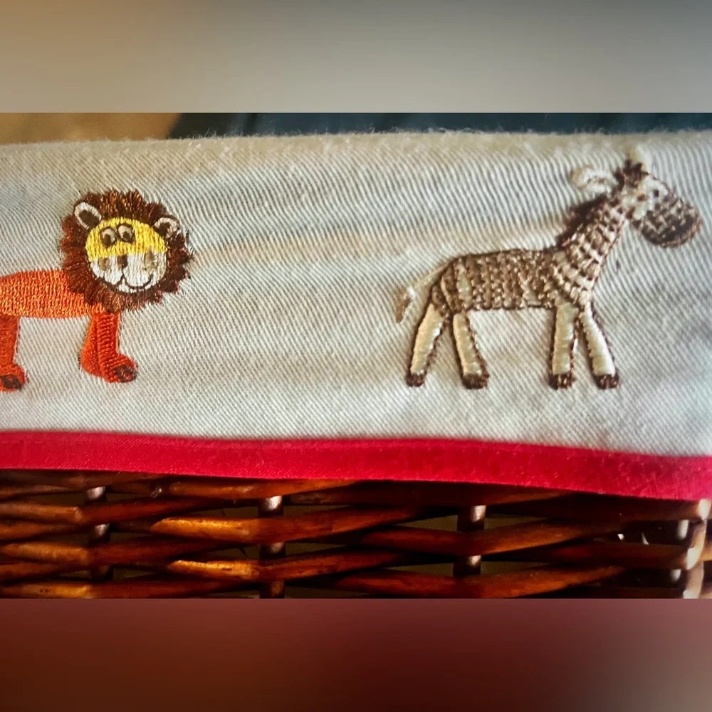 Cost Plus World Market charming wicker